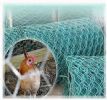 Chicken Wire Netting